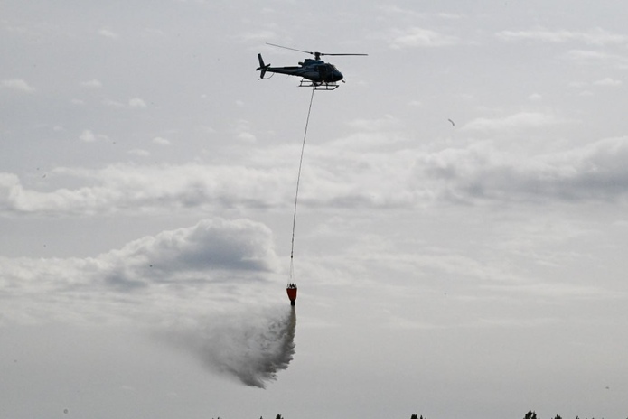 Технология раннего выявления лесных пожаров применяется в ВКО